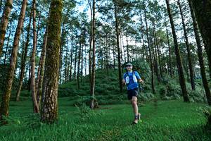 BIB: 
                            <button type="button" onclick="openModal(25020724)" class="btn btn-primary btn-sm float-right btn-popup" data-toggle="modal" data-target=".modal-high-quality">
                        <i class="fas fa-shopping-cart"></i> Add to Cart
                    </button>
                                            <button type="button" onclick="isThisMe(25020724, true)" class="btn btn-success btn-sm float-right btn-popup btn-isme hidden" data-toggle="tooltip" data-placement="bottom" title="นี่คือรูปของคุณใช่ไหม คลิกที่นี่เพื่อเอาเข้าอัลบั้ม">
                        <i class="fas fa-plus"></i> Add to album
                    </button>
                    <button type="button" onclick="isThisMe(25020724, false)" class="btn btn-warning btn-sm float-right btn-popup btn-isnotme hidden">
                        <i class="fas fa-ban"></i> Remove from album
                    </button>